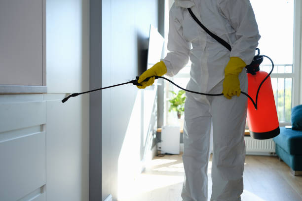 Best Mold Damage Repair  in Cressona, PA
