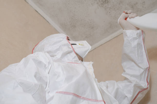Best Local Mold Removal Service  in Cressona, PA